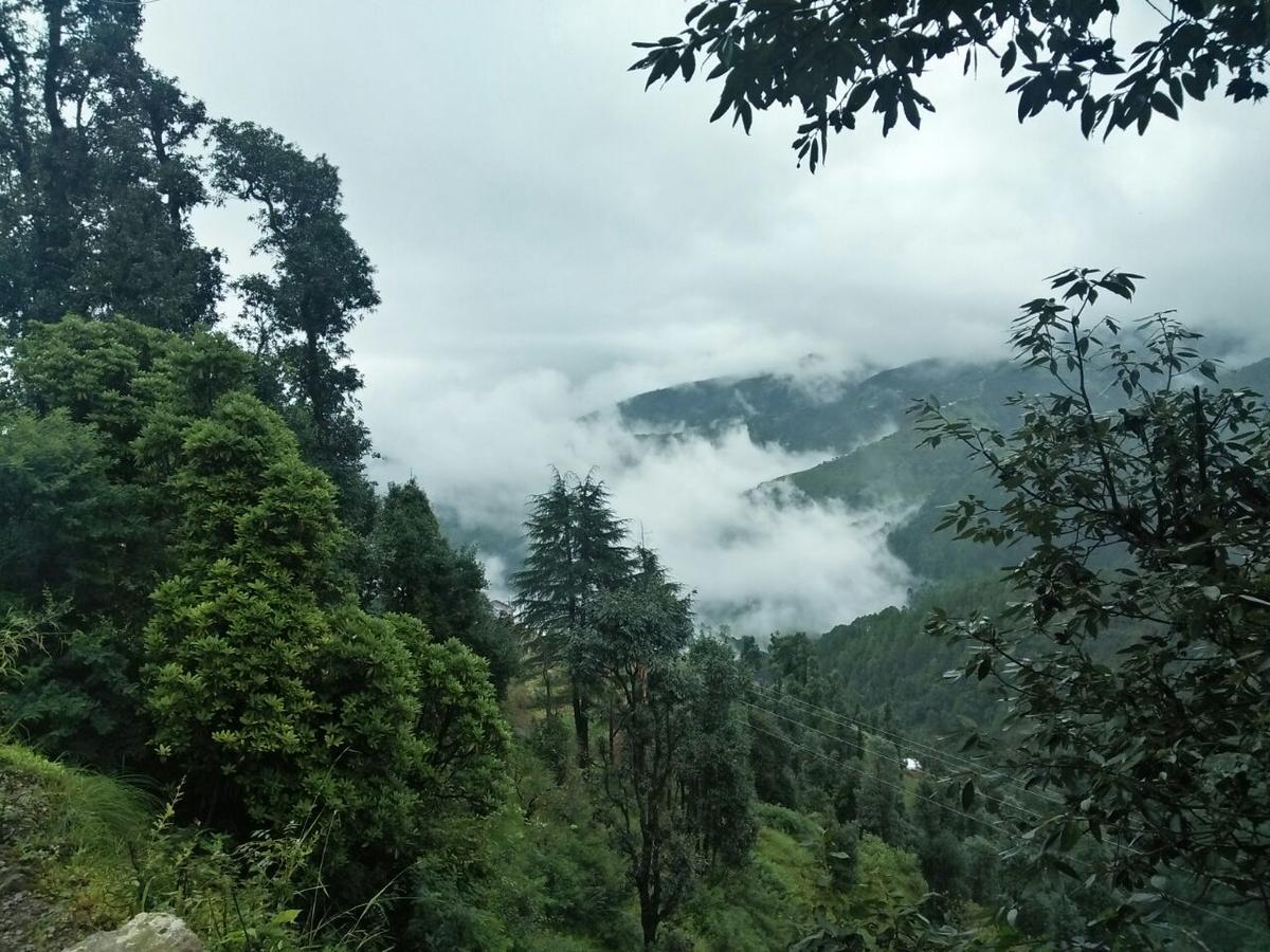 Oyo 11877 Royal Residency Hotel New Tehri Стая снимка